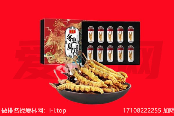 齐齐哈尔回收虫草.jpg